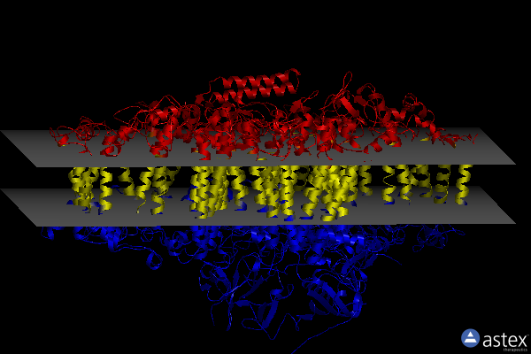 Membrane view of 8j7b