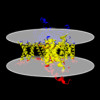 Membrane view of 8j7h