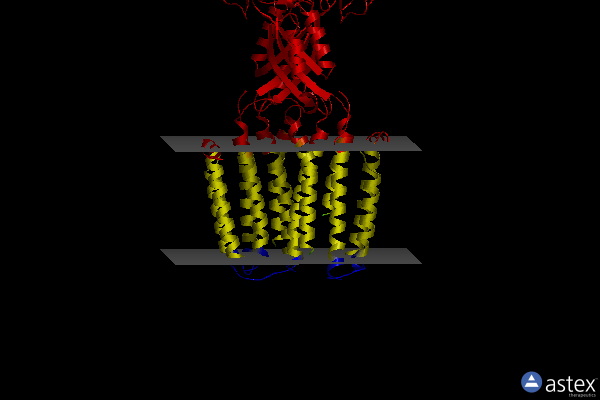 Membrane view of 8j7u