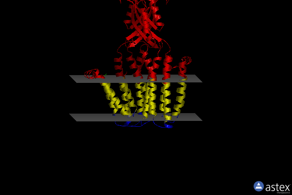 Membrane view of 8j7w