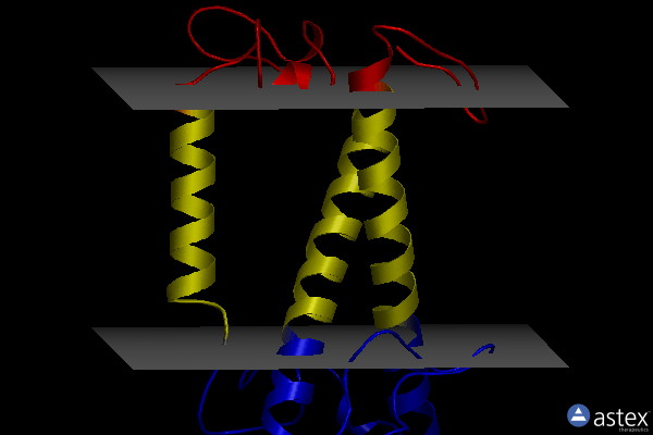 Membrane view of 8j7z