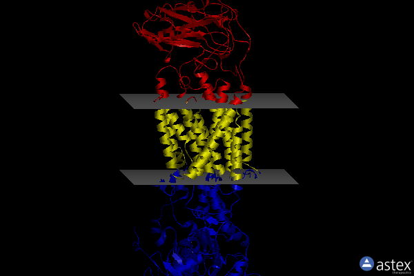 Membrane view of 8jbm