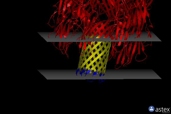 Membrane view of 8jc7