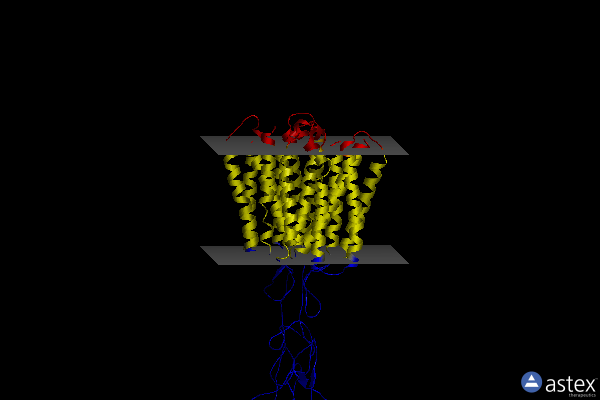 Membrane view of 8jcu