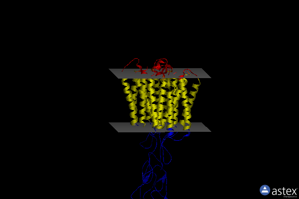 Membrane view of 8jcy