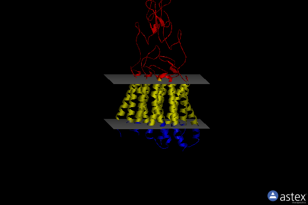 Membrane view of 8jcz