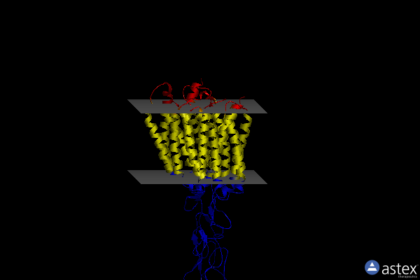 Membrane view of 8jd1