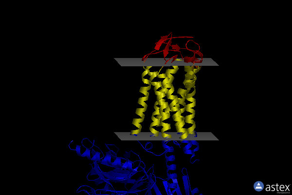 Membrane view of 8jer