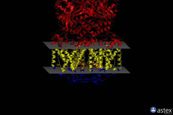 Membrane view of 8jet