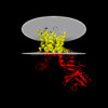 Membrane view of 8jh5