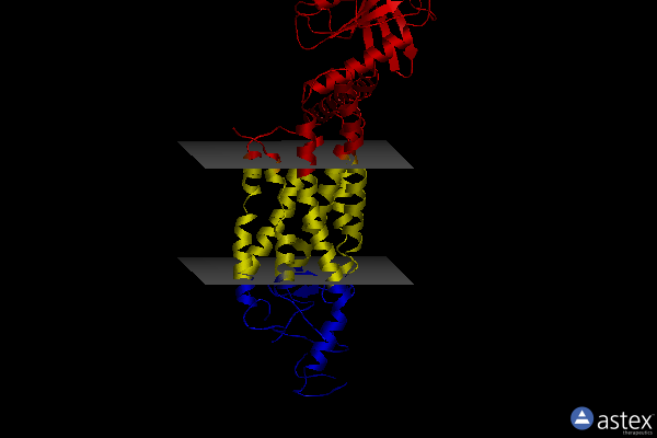 Membrane view of 8jhi
