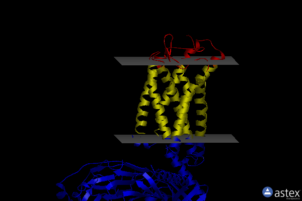 Membrane view of 8jhn