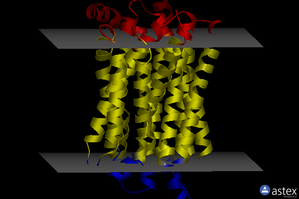 Membrane view of 8jhr