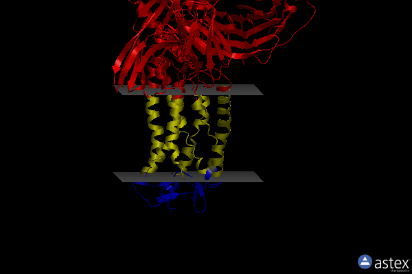 Membrane view of 8jhy