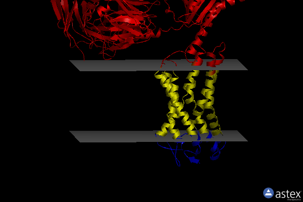 Membrane view of 8jil