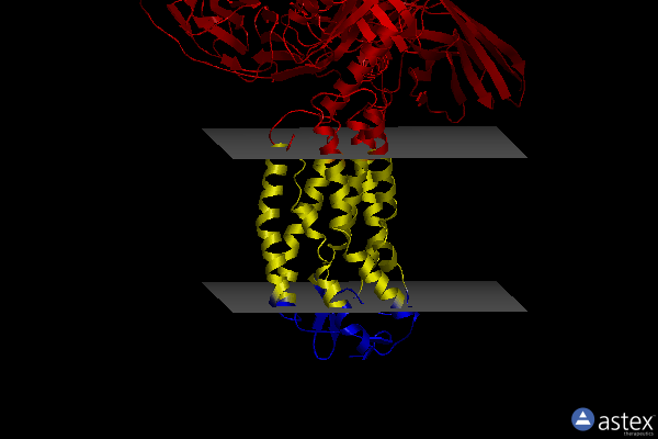 Membrane view of 8jim