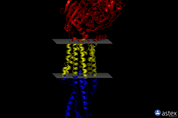 Membrane view of 8jiq