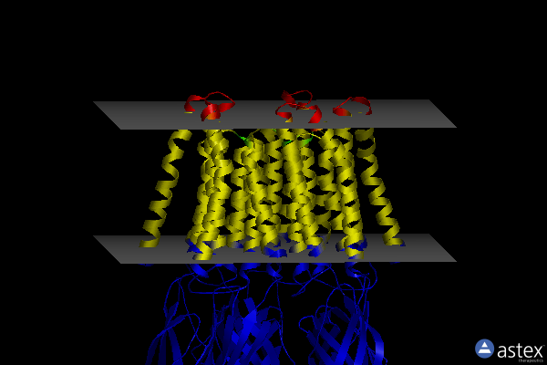 Membrane view of 8jj3