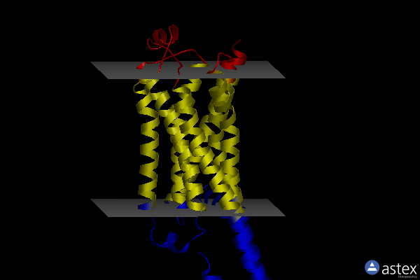 Membrane view of 8jjl