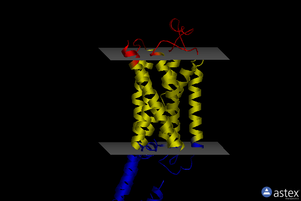 Membrane view of 8jjo