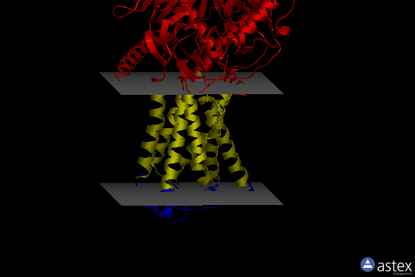Membrane view of 8jlo