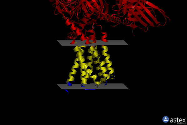 Membrane view of 8jlr