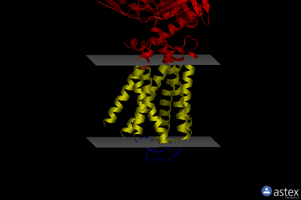Membrane view of 8jlz