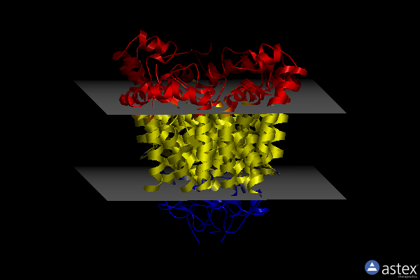 Membrane view of 8jni