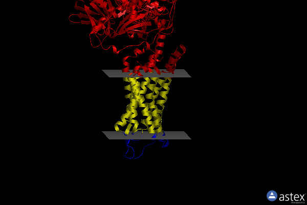 Membrane view of 8jpb