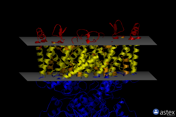 Membrane view of 8jpj