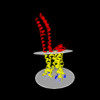 Membrane view of 8jt8