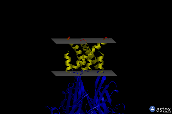 Membrane view of 8jv6