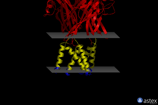 Membrane view of 8jv8