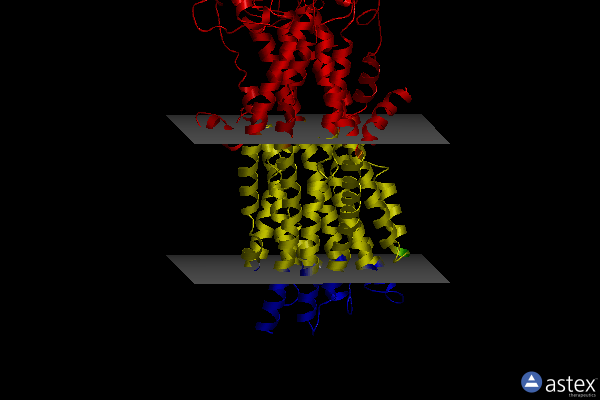 Membrane view of 8jw4