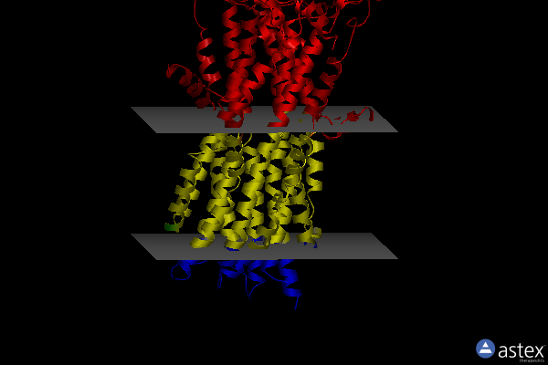 Membrane view of 8jwg