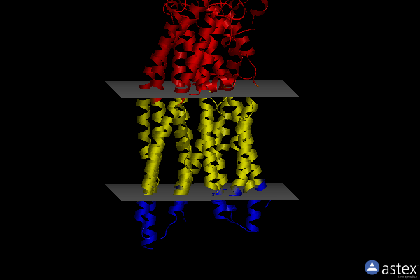 Membrane view of 8jwi