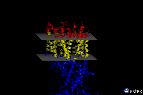 Membrane view of 8jxq