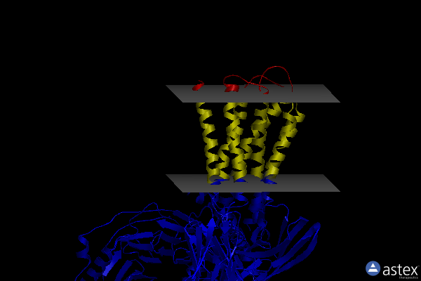 Membrane view of 8jxt