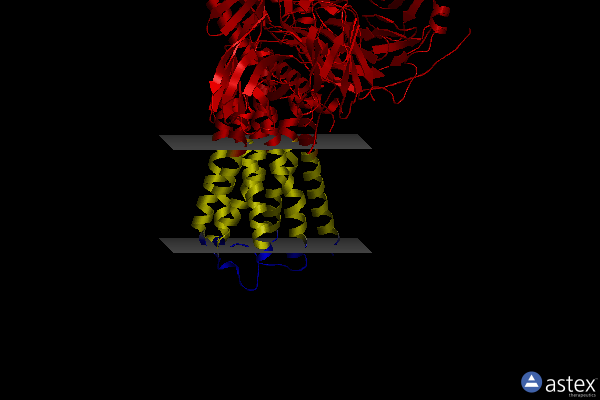 Membrane view of 8jxv