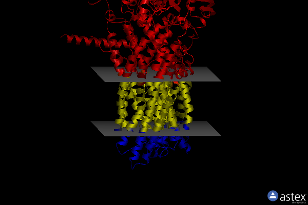 Membrane view of 8jy4