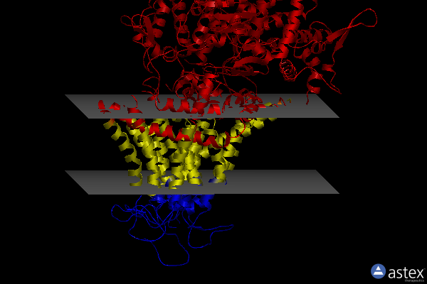 Membrane view of 8jzn