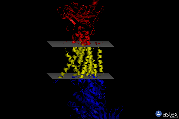 Membrane view of 8k1l