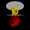 Membrane view of 8k1m