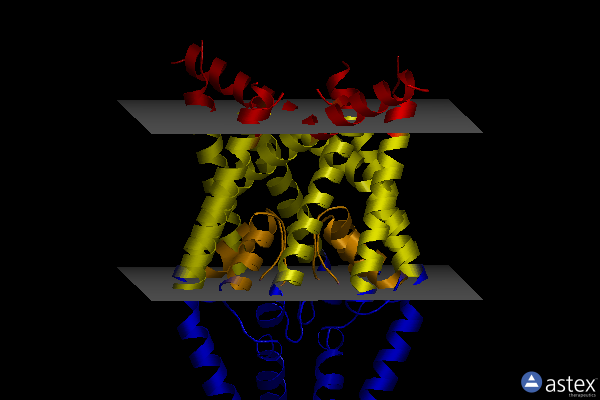 Membrane view of 8k1q