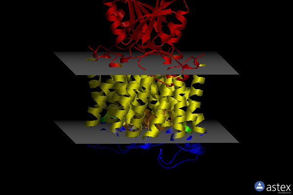 Membrane view of 8k1r