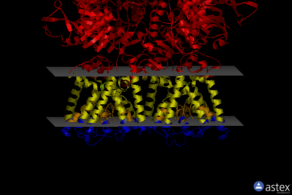 Membrane view of 8k1t