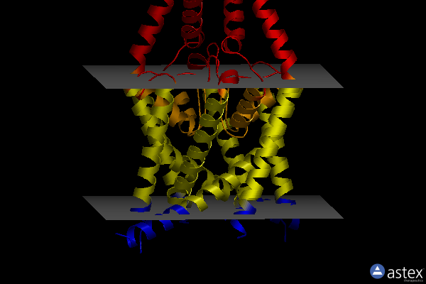Membrane view of 8k1v