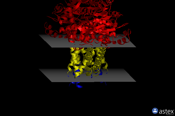 Membrane view of 8k3p