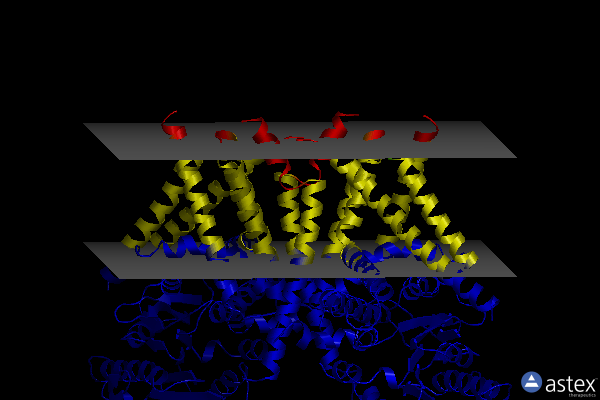 Membrane view of 8k3t