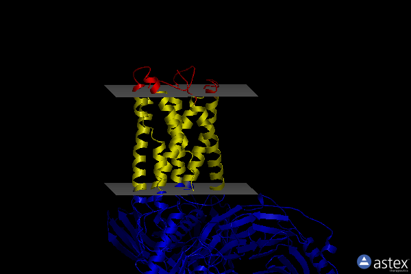 Membrane view of 8k4n